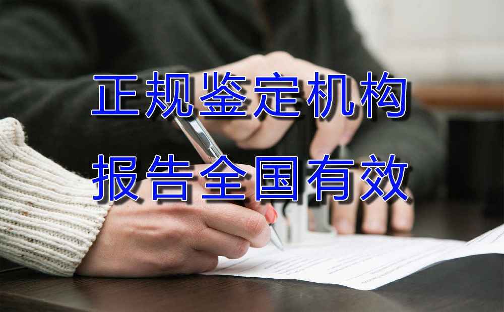 交通事故车辆鉴定服务：详细解析与重要性，全面审视车辆相关因素